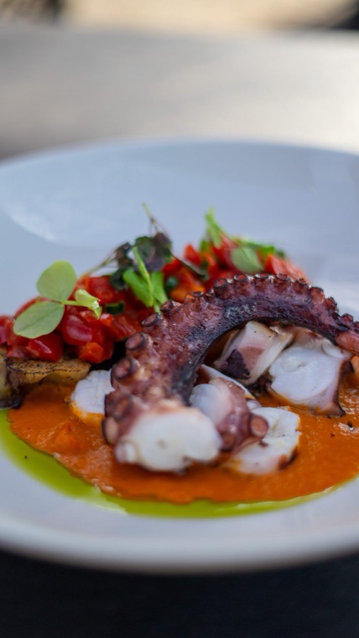 Gegrillter Polpo-Arm auf Paprikasauce